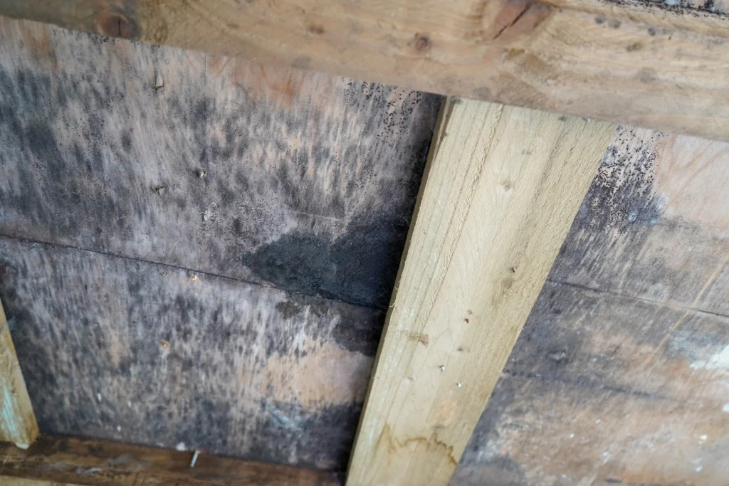 Rotten decking