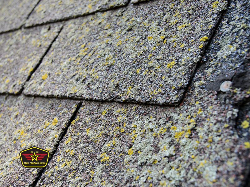 Bravo Company Roofing Close-up of asphalt roof shingles covered with yellow and green lichen growth; a small company logo is visible in the bottom left corner.